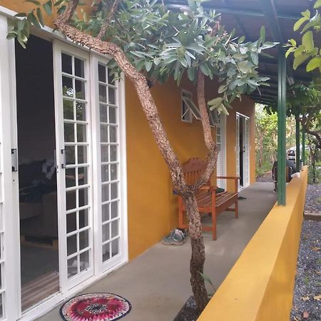Jardim Da Lila - Um Recanto De Paz Em Alto Paraiso Alto Paraíso de Goiás Εξωτερικό φωτογραφία